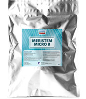 MERISTEM MICRO B (МЕРИСТЕМ МИКРО B)